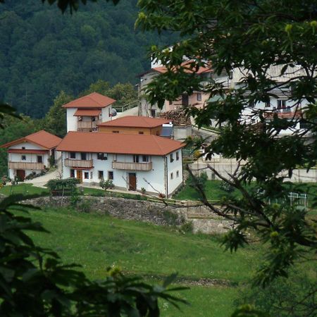 Apartmaji Nena Rocinj 외부 사진