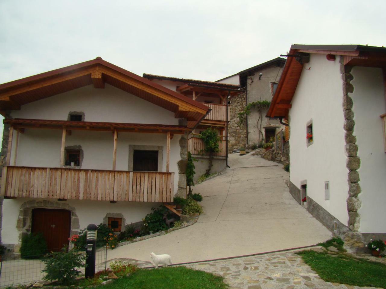 Apartmaji Nena Rocinj 외부 사진